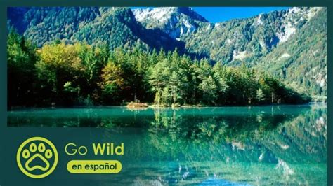 Descubre la belleza de los Lagos Alpinos Explorando los paisajes más