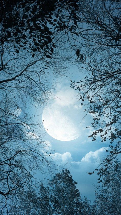 Moon Night Wallpapers - Top Free Moon Night Backgrounds - WallpaperAccess