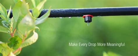 Quality Irrigation Micro Sprinklers & Irrigation Pop Up Sprinklers ...