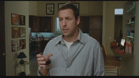 Sandler in Funny People - Adam Sandler Image (19279546) - Fanpop