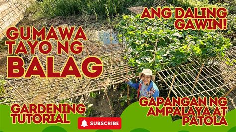 GUMAWA TAYO NG BALAG PARA GAPANGAN NG ATING AMPALAYA AT PATOLA