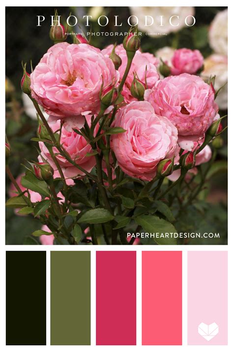 Color Palette: Rose Garden — Paper Heart Design