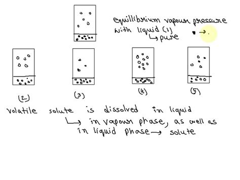 SOLVED The Below Drawing Shows The Equilibrium Vapor Pressure Of A