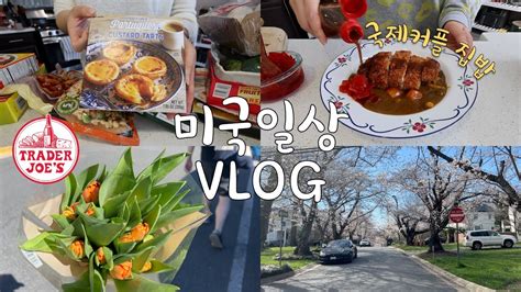 🇺🇸미국 일상 Vlog 🛒🌸👩🏻‍🍳 트레이더조에서 장보고 벚꽃놀이 하고 돈까스 카레 해먹는 집밥 요리 브이로그 국제커플