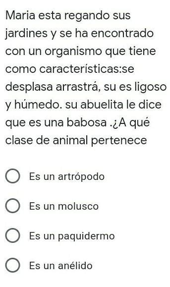 Ayuda Porfa Le Doy Mejor Respuesta Y Lo Sigo En Brainly Se Los Suplico