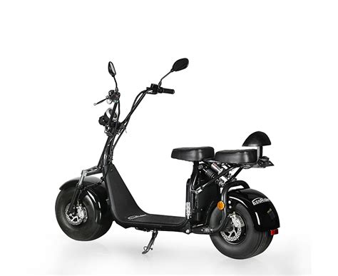 Ecorider Eec Citycoco Two Wheel Electric Scooter