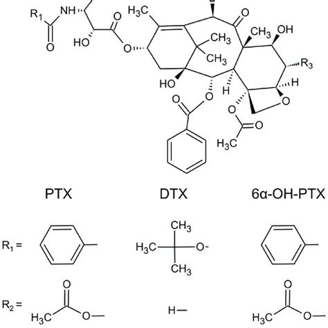 Msms Mass Spectra Of Ptx And 6α Oh Ptx With Chemical Structures And