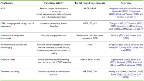 【文献翻译】细胞衰老在女性生殖衰老中的作用和衰老治疗干预的潜力 知乎