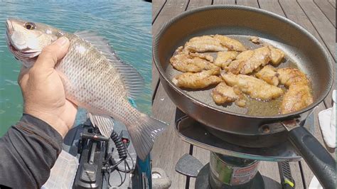 Super Easy Way To Catch Loads Of Mangrove Snapper Kayak Catch And Cook