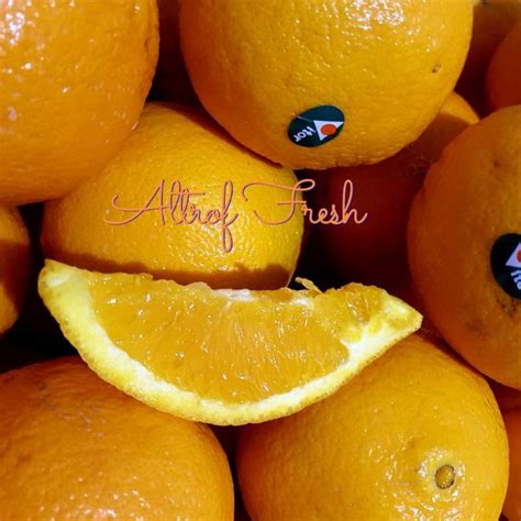 Jual Jeruk Sunkist Navel Dan Valen Australi 1kg Indonesia Shopee