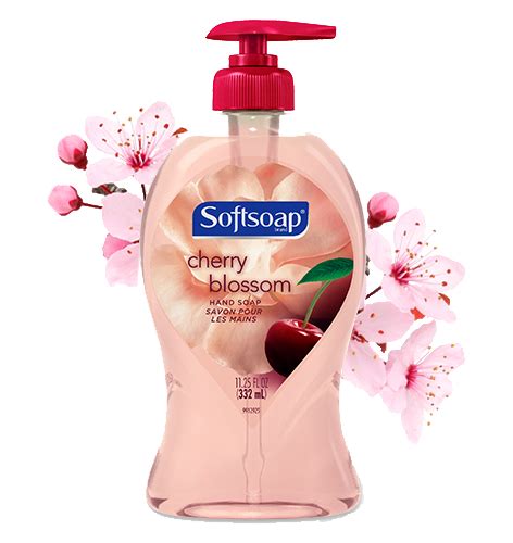 Softsoap® Cherry Blossom Liquid Hand Soap Reviews 2021