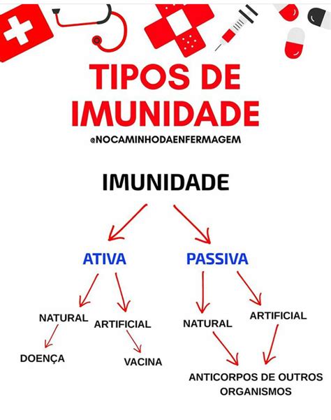 Mapa Mental Imunidade Ativa E Passiva Imunologia Hot Sex Picture