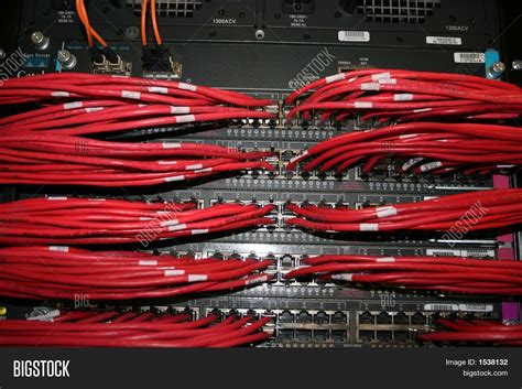 Rj-45 Patch Panel Image & Photo (Free Trial) | Bigstock