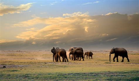 Amboseli National Park - Africa Safari Trips