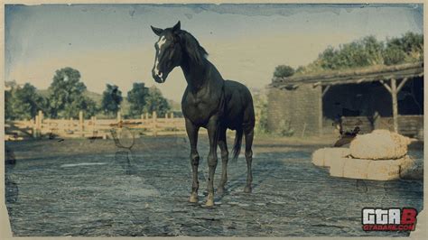 Turkoman Horse | RDR2 Horse Breeds Coats, Locations & Stats