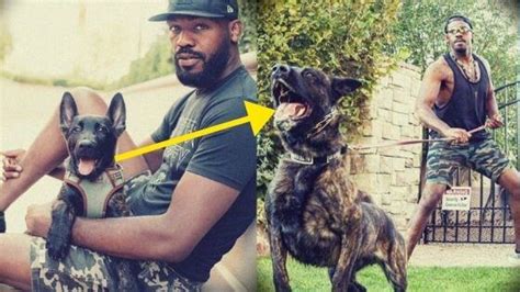 25 Rare Photos Of Jon Jones Wife And Daughters Law Of The Fist