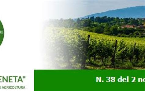 Newsletter Agricoltura Veneta N Del Novembre Veneto