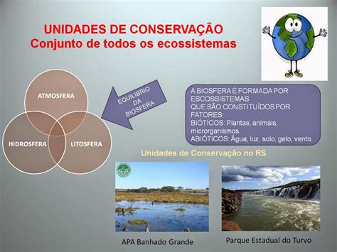 Mapa Mental Unidades De Conservação - BRAINCP