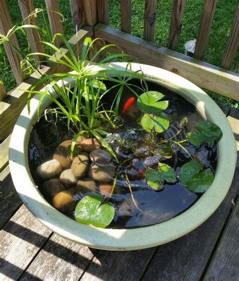 My Weekend Container Pond Project Zen Water Gardens Diy Fish Pond