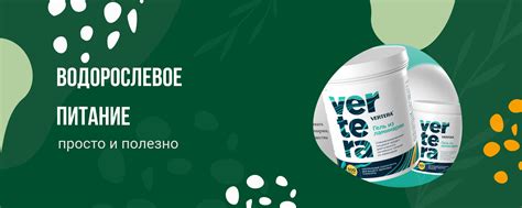Водорослевое питание Вертера| Елена Авдеева | Привет! 2024 | ВКонтакте