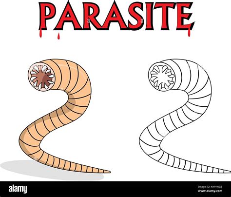 Parasitäre Nematoden Würmer In Gliederung Und Vektor Cartoon Design Vektor Abbildung Bild