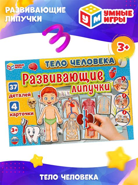 Развивающая настольная игра с липучками для детей Умные игры Тело ...