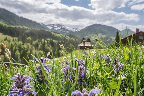 Buchenegger Wasserf Lle Wanderung Im Allg U Bei Oberstaufen Allg U