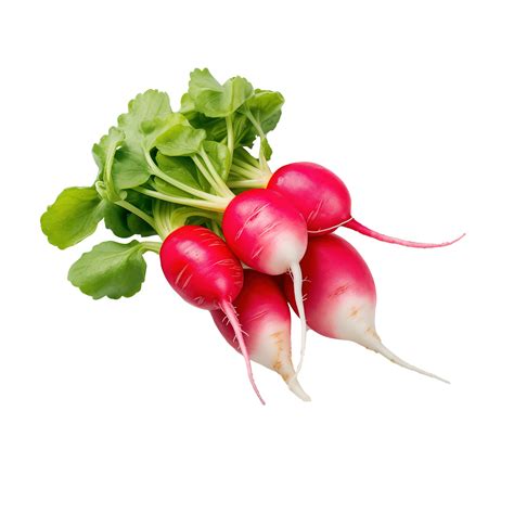 Ai Generated Red Radish Isolated On Transparent Background 36512655 Png