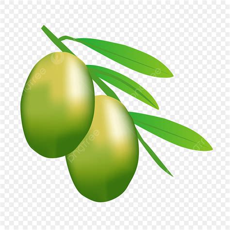 Hojas De Aceitunas Png Vectores Psd E Clipart Para Descarga Gratuita