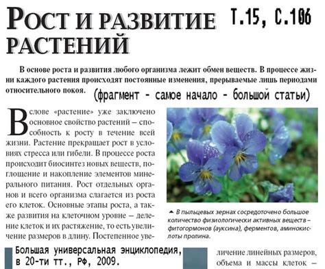 Рост и развитие растений | Flora, Plants