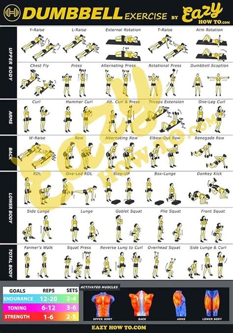 Eazy wie zu Hantel Übung Workout Poster Big 51 0 x 73 0 cm Zug Ausdauer