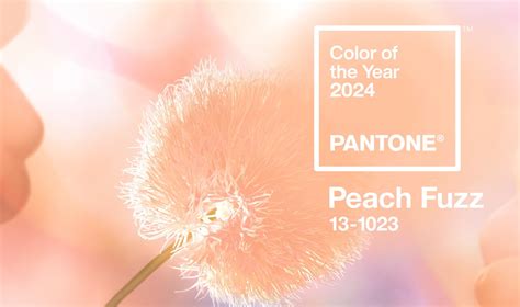 Pantone Color Of The Year 2024 Peach Fuzz Tarrago