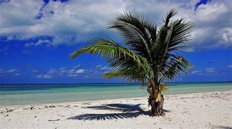 Descubre Las Maravillas De Playa Anc N En Cuba Un Para So Caribe O De