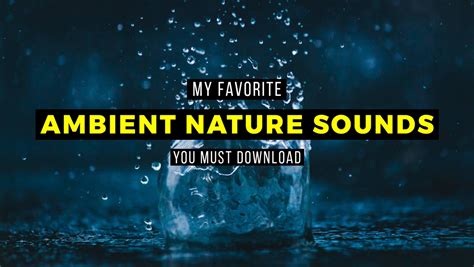 Jamie Fenn Ambient Nature Sound Effects Pack Jamie Fenns Store