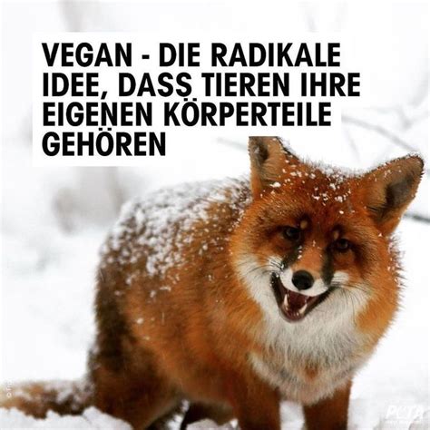 Pin von Sylvia 64 auf Tier Sprüche 64 Veganer zitate Peta Tiere