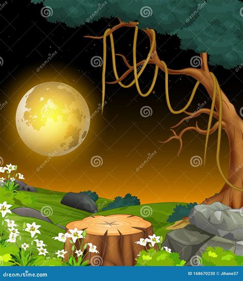 Cool Landscape Forest Night Grass Field View with Moonlight Cartoon ...