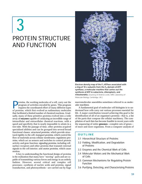 SOLUTION: Protein structure and function - Studypool