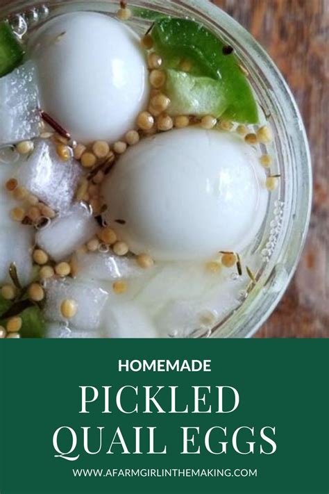 Easy pickled quail eggs – Artofit