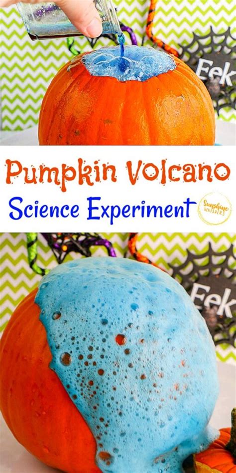 Pumpkin Volcano Science Experiment for Kids - Sunshine Whispers