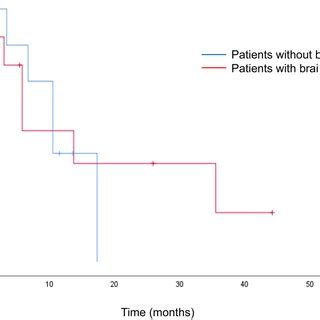 KaplanMeier Curves Showing The Progression Free Survival Of Patients