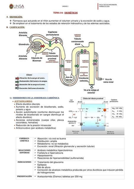 Diuréticos study enf uDocz