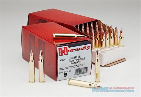 Hornady Custom 223 Rem 55 Gr Spire For Sale At Gunsamerica