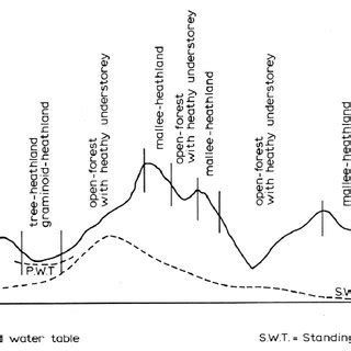 Vegetation map for the north of North Stradbroke Island from Clifford ...