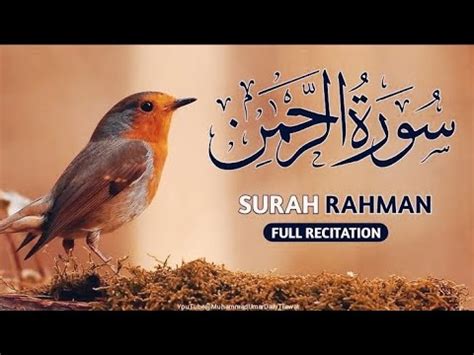 Surah ar Rahman Repeat Full Ep 0 54 سورہ رحمن 55 Surah ar