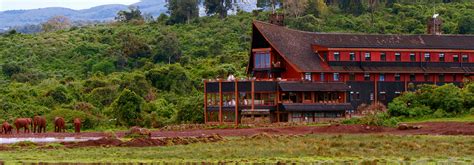 The Ark Lodge Evacay Africa