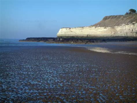 Les Falaises De Meschers Sur Gironde Guide Tourisme Vacances