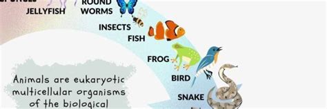 What is an Organism? - Yoors