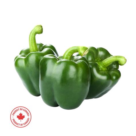 Green Bell Peppers • Marché CTFO