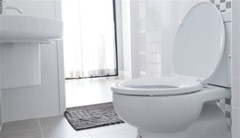 Comfort Height vs Standard Toilet - Pros, Cons, Comparisons and Costs