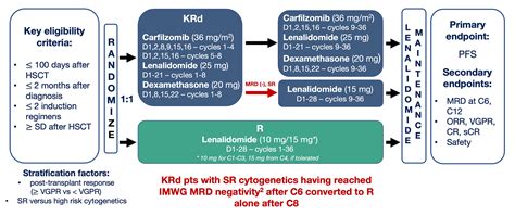 Pfs Superior With Extended Krd Maintenance Than Standard Lenalidomide